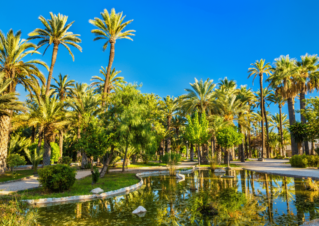 Palmeral Alicante